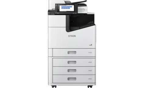 Epson Enterprise WF-C21000D4TW